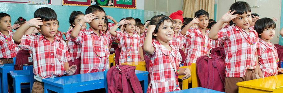 Important Notice Image