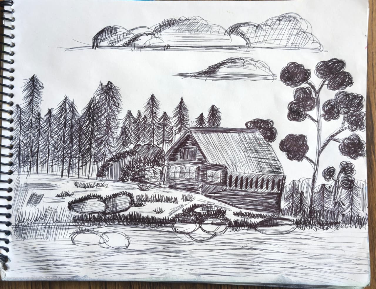 PEN ART BY AROHI SINGLA(8-B).