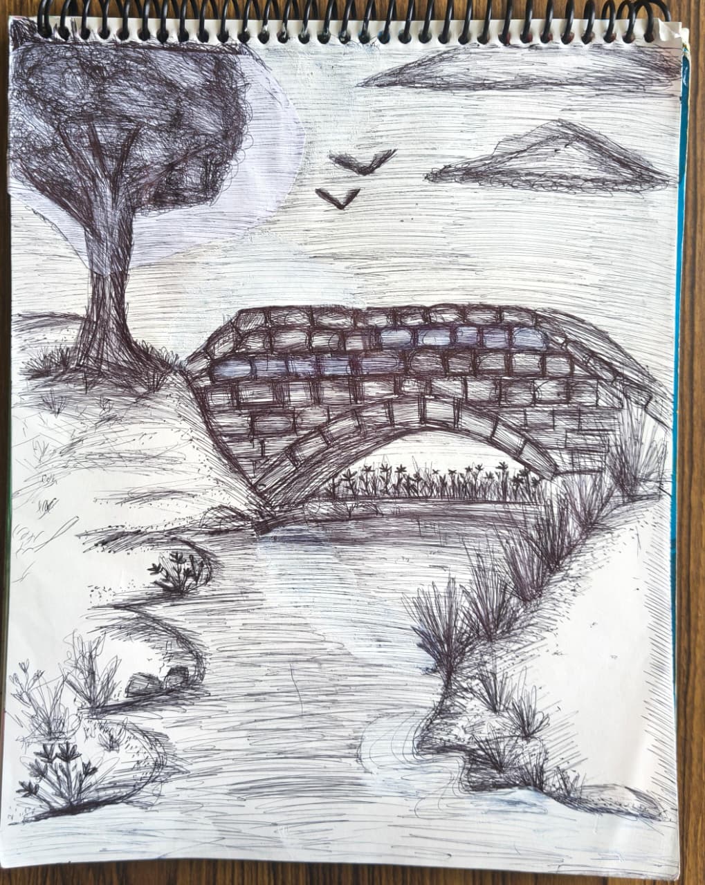 PEN ART BY PUNEET KAUR SEKHON.