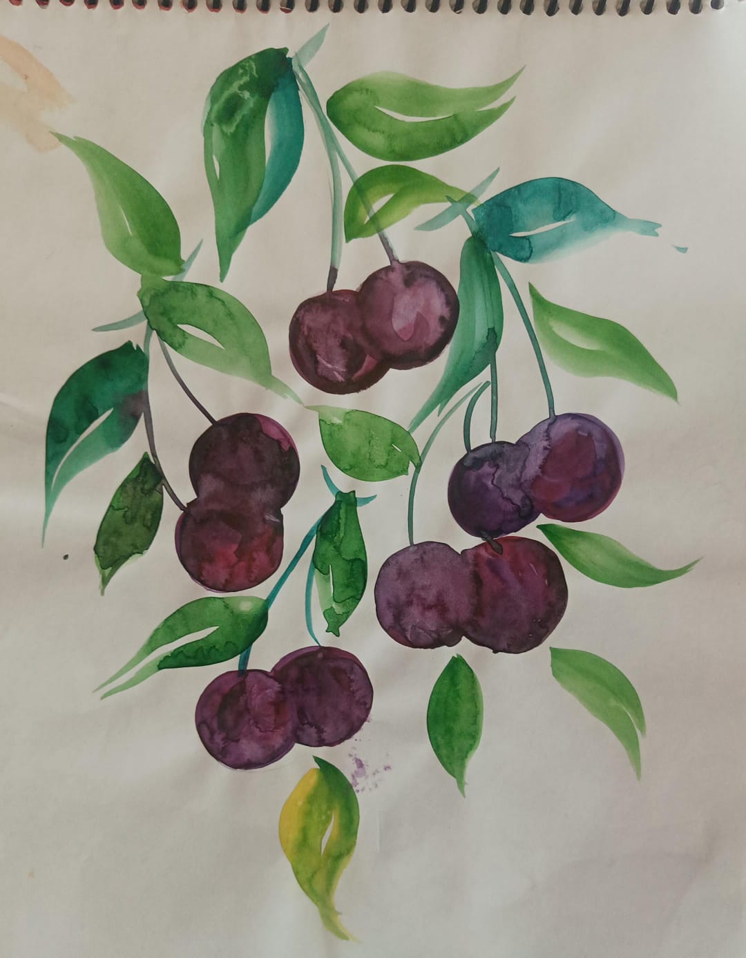 WATER COLOR CHERRY BY AASHNA JINDAL(8-B).