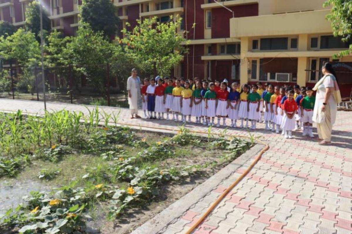 NATURE WALK(CLASS 1ST)