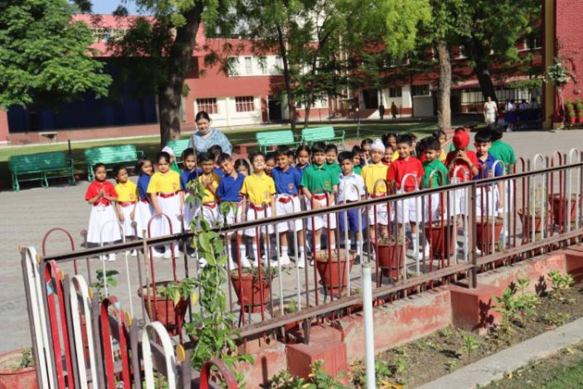 NATURE WALK(CLASS 1ST)