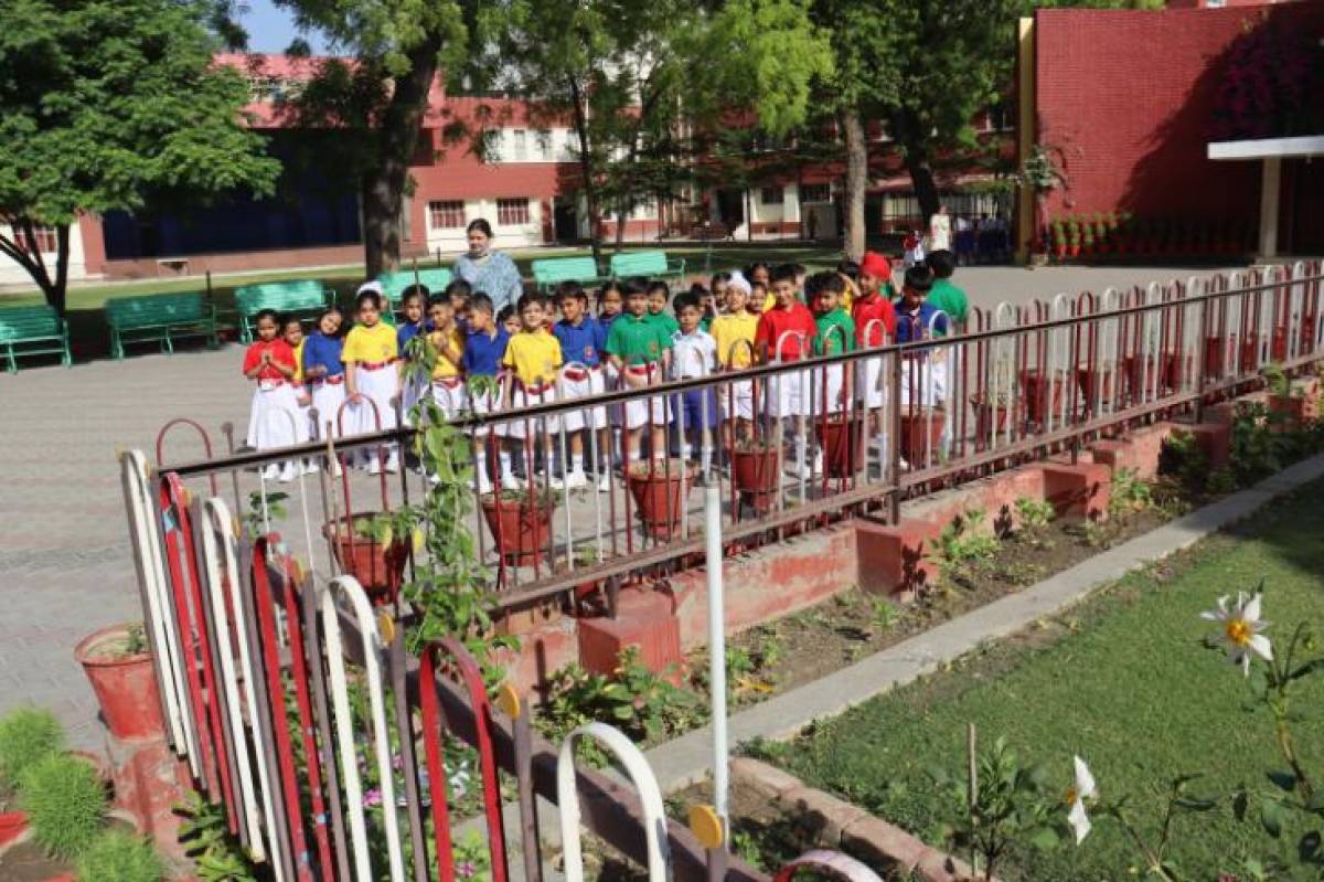 NATURE WALK(CLASS 1ST)